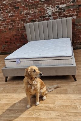 Kiara Fabric King Size Bed 5ft - Champagne